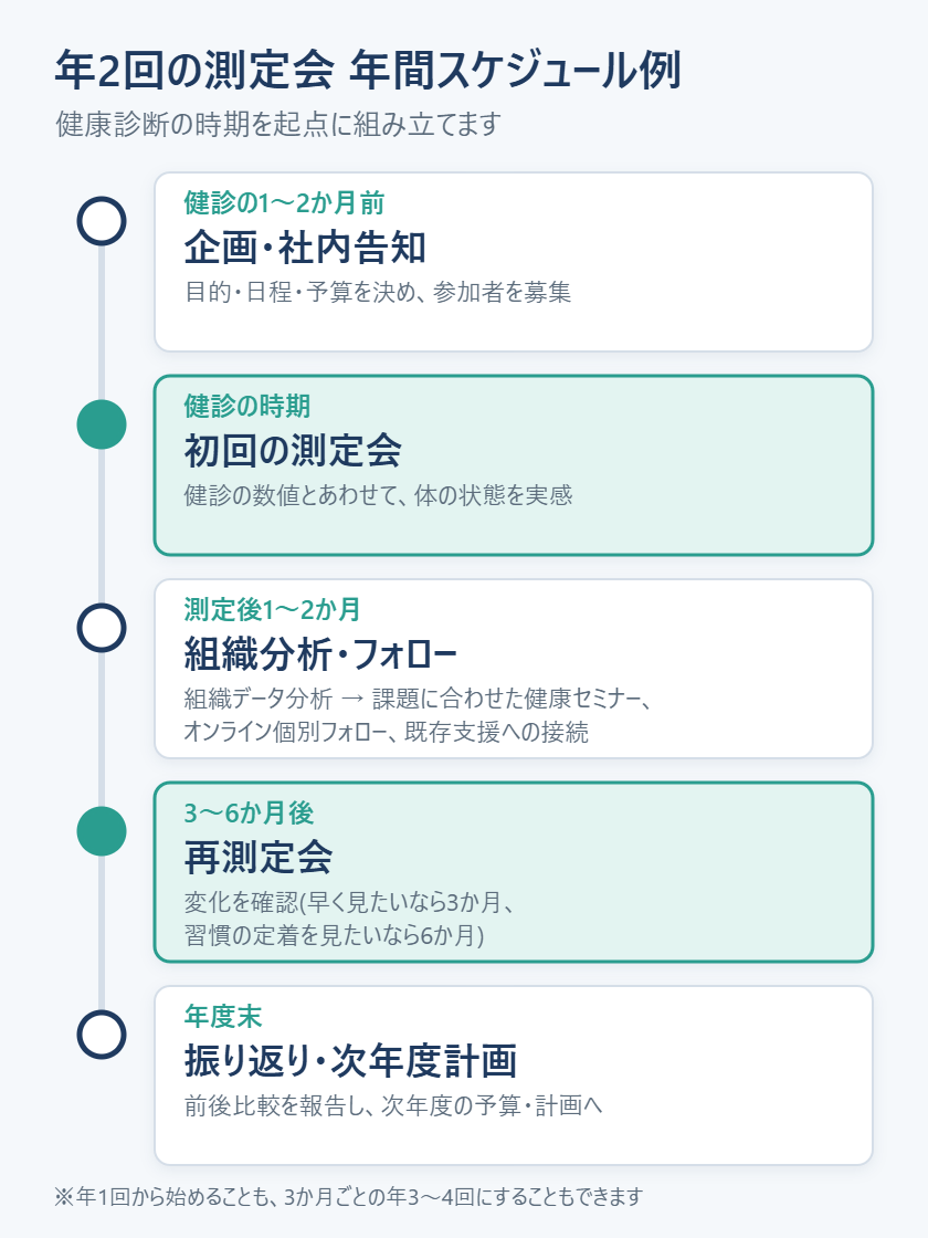 年2回の測定会の年間スケジュール例。健診の1〜2か月前に企画・社内告知、健診の時期に初回の測定会、測定後1〜2か月で組織データ分析と、課題に合わせた健康セミナー・個別フォロー、3〜6か月後に再測定会、年度末に振り返り・次年度計画